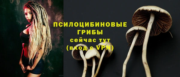 круглые Арсеньев