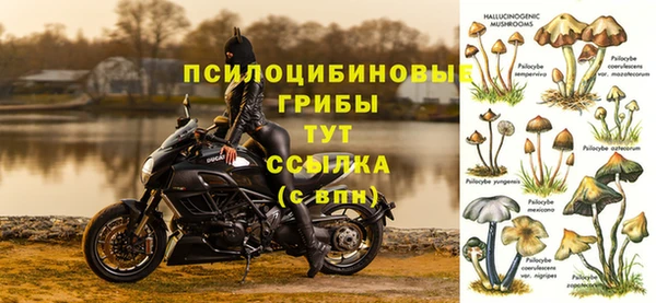 мет Аркадак