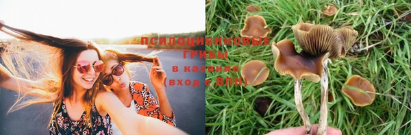 мет Аркадак