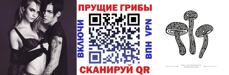 площадка клад  Урень  Псилоцибиновые грибы GOLDEN TEACHER 
